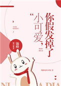 小可爱你假发掉了作者